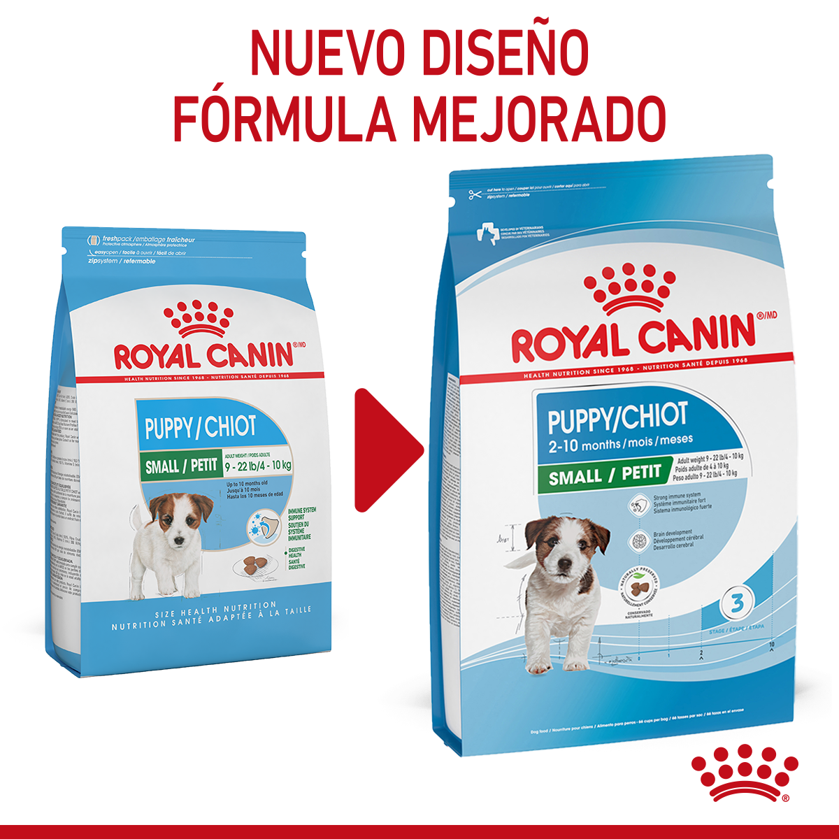 Royal Canin Cachorro Raza Pequeña Royal Canin Cachorro Raza Pequeña
